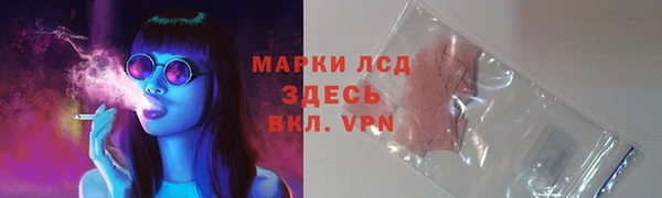 PSILOCYBIN Верхний Тагил