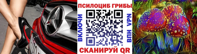 Купить где  Покровск  Псилоцибиновые грибы Psilocybe 